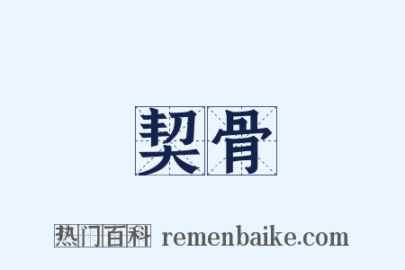 契骨是什么意思的图片